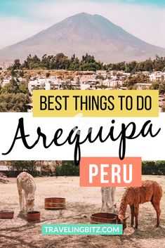 the best things to do in arequipa peru