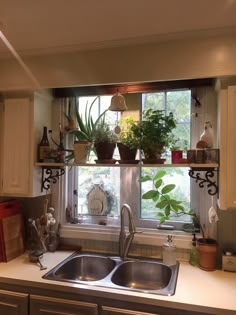 a kitchen sink under a window filled with potted plants