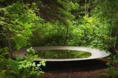 large round water bowl with water in it sitting amongst dense greenery Kolam Air, Annual Garden, Saint Lawrence, Pond Water Features, Reflecting Pool, Garden Festival