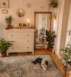 a black and white dog laying on top of a rug in a living room next to a dresser