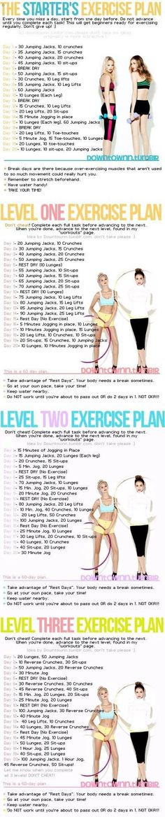 an exercise plan is shown with instructions for the body and core muscles, including exercises to help