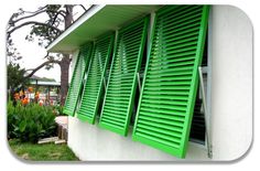 green shutters on the side of a white building