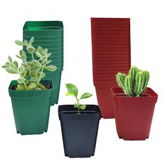 four different types of plastic planters in various colors and sizes, each with a cactus