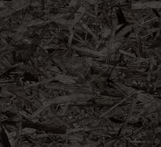 black and white photograph of wood chips