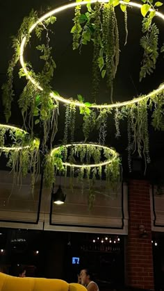 a living room filled with lots of plants hanging from the ceiling next to a yellow couch