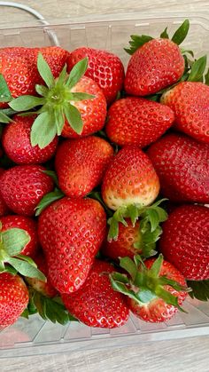 a plastic container filled with lots of ripe strawberries