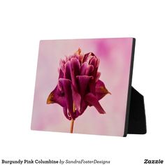 a purple flower is in the middle of a pink photo with black stand up holder