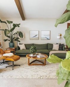 a living room filled with furniture and plants