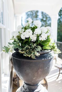 a potted plant sitting on top of a wooden table in front of a window