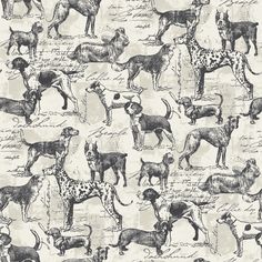 an image of dogs in different poses on a wallpapered background, with black and white ink drawings