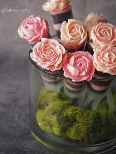 pink roses are in a glass vase filled with moss