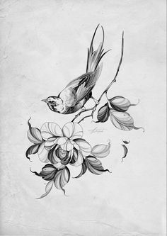 bird drawing
tattoo design 
floral tattoo design 
peony tattoo design 
tattoo ideas 
bird tattoo 
flower tattoo design Bird Drawing Tattoo, Drawing Tattoo Design, Organic Tattoo, Magic Runes, Surreal Tattoo, Sigil Tattoo, Hand And Finger Tattoos, Peony Art, Bird Drawing