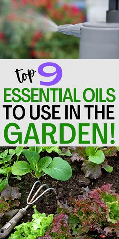 gardening tools in the garden with text overlay top 9 essential oils to use in the garden