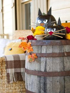 an image of two cats sitting on top of a barrel with fall decorations around it