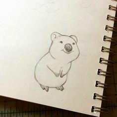 a drawing of a koala sitting on top of a piece of paper next to a ruler