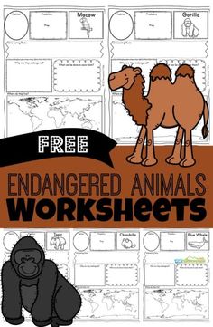 an animal worksheet with the words, free printables and pictures to help students