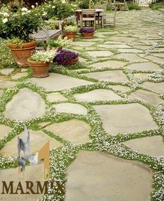 marble egypt - egyptian marble - marble - granite - egyptian granite - paving stone - egyptian limestone Landscaping Patio, Patio Steps, Small Front Yard Landscaping, Stone Patio, Flagstone Patio, Stone Walkway, Low Maintenance Landscaping, Front Patio