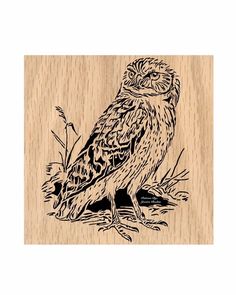 an owl is sitting on the ground in front of a wooden plaque that says,