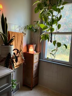 a bathroom with plants in the window sill