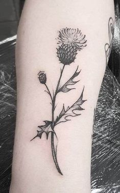 101 Amazing Thistle Tattoo Ideas You Need To See! | Outsons | Men's ... Thistle And Heather Tattoo, Scotland Thistle Tattoo, Milk Thistle Tattoo, Scottish Thistle Tattoo Simple, Scottish Thistle Tattoo Delicate, Easy Tattoos For Women, Scotland Tattoo Ideas, Thistle Tattoo Black, Thistle Tattoos