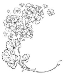 a drawing of some flowers on a white background