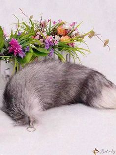 a grey and white cat laying next to a flower pot