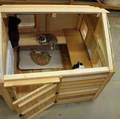 two cats are sitting in a small wooden house that's built into the floor