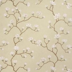 It took more than 60 hours to create Magnolia Tree, an exquisite large-scale climbing floral inspired by Japanese screens. Elegant and understated, this 54-inch-wide panel design captures the gorgeous tonalities of the original artwork hand-painted in our studio. Schumacher Color: Soft Gold Schumacher Magnolia Floral Non-Woven Wallpaper Roll - Wallpaper in Soft Gold | Size 30' L X 54" W | Perigold Office Update, Japanese Screen, Magnolia Tree, Magnolia Trees, Tree Wallpaper, Woven Wallpaper, Accent Wallpaper, Wallpaper Roll, Panel Design