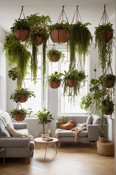 Living room with hanging planters and macramé hangers, adorned with lush trailing plants. Hanging Plants On Ceiling, Therapy Rooms, Massage Therapy Rooms, Aesthetic House, Cozy Home Office, Best Plants, Macrame Hanger, Plants Indoor