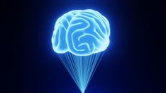 4K Hologram of Human Brain Sci-Fi HUD With Dark Background Loop Animation Loop Animation, Human Brain, Dark Background, Lungs, Interface Design, Dark Backgrounds, Brain, Sci Fi, Human