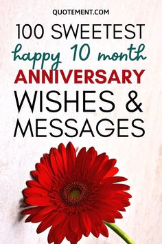 a red flower with the words happy 10th anniversary wishes and messages written in bold font