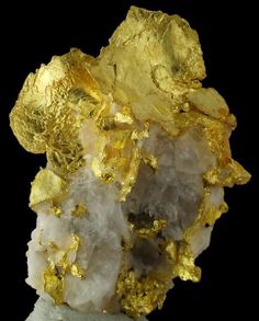 Gold on Quartz matrix / Jamestown, California. Jamestown California, Panning For Gold, Rock And Mineral, Geology Rocks, Gold Money, Gold Nugget