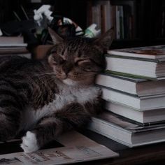 a cat is sleeping on top of some books