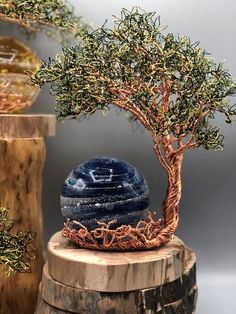 a bonsai tree sitting on top of a wooden stump