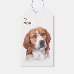 a brown and white dog is on a tag