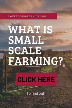 If you are even so much as toying with the idea of becoming a market farmer, it’s a good idea to know exactly what small scale farming is all about.  Small scale farming does not require a ton of acreage (hence the term ‘small scale’), it allows for the cultivation of multiple crops and livestock and can take place in your very own back yard. Farming For Profit, Sweet Fern, Regenerative Farming, The Water Cycle, Market Garden, Water Cycle, Lavender Farm, Off Grid Living