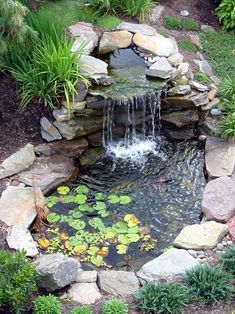 a small pond surrounded by rocks and water lilies