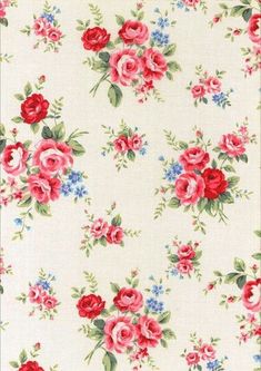 a white background with red and pink flowers on it's sides, including roses