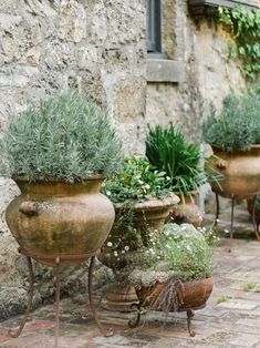 several pots with plants in them sitting on a brick walkway next to a stone building