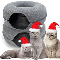 three cats wearing santa hats sitting next to a cat bed