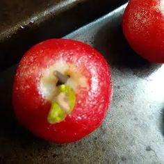 two red tomatoes sitting on top of a metal counter