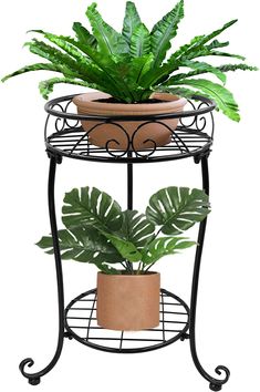 a potted plant sitting on top of a metal stand next to a green plant