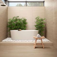 a bath room with a plant in the tub and a wooden bench next to it