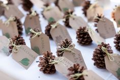 pine cones are tied with twine and placed next to each other on a table