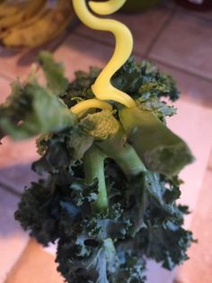 a close up of broccoli on a table