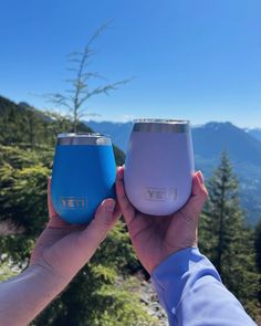 two people holding up wine glasses in front of the mountain side with trees and blue sky