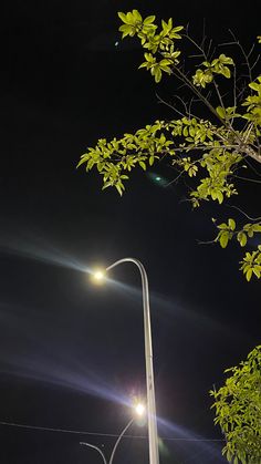 the street light shines brightly in the dark night sky with green leaves on it