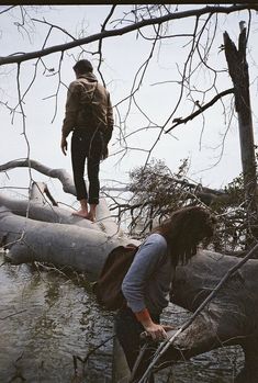 two people standing on logs in the water next to trees and fallen down branches, with one person walking over them