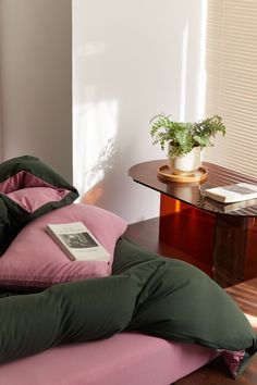 a pink and green bean bag chair in front of a table with a potted plant on it