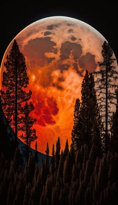 the full moon is seen behind trees in front of a dark sky with clouds and orange hues